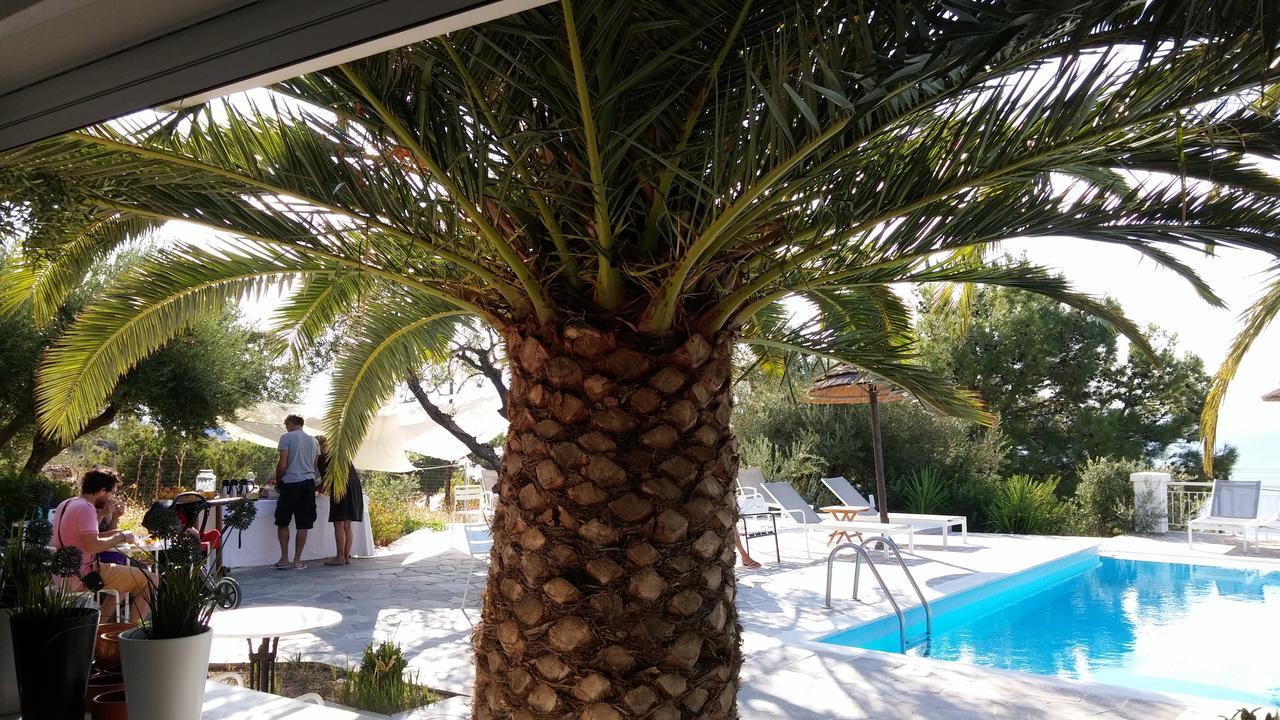 Anthemoessa Villas بيثاغوريو المظهر الخارجي الصورة